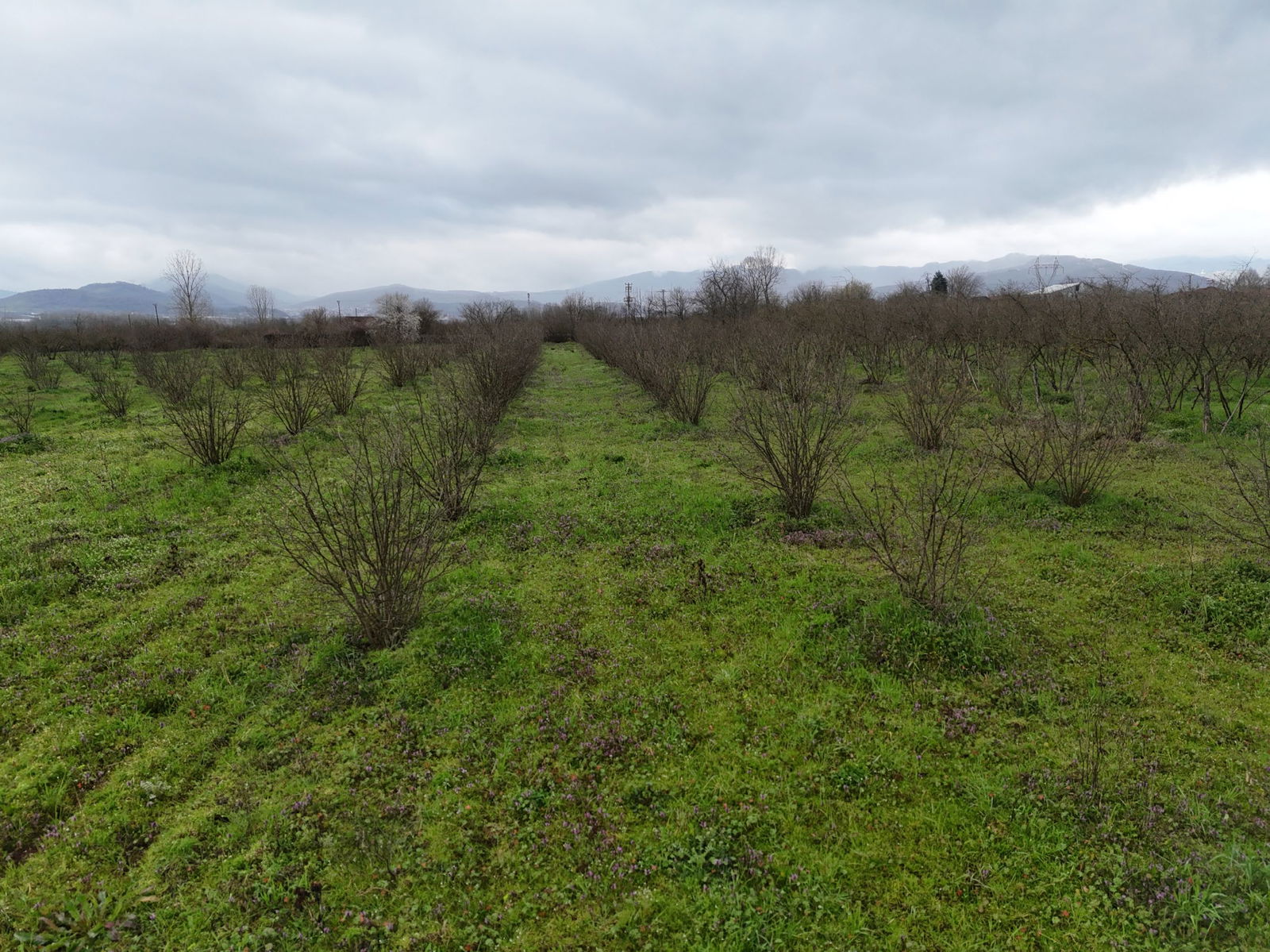 Satılık&nbsp;Arsa&nbsp;2,200,000&nbsp;TL