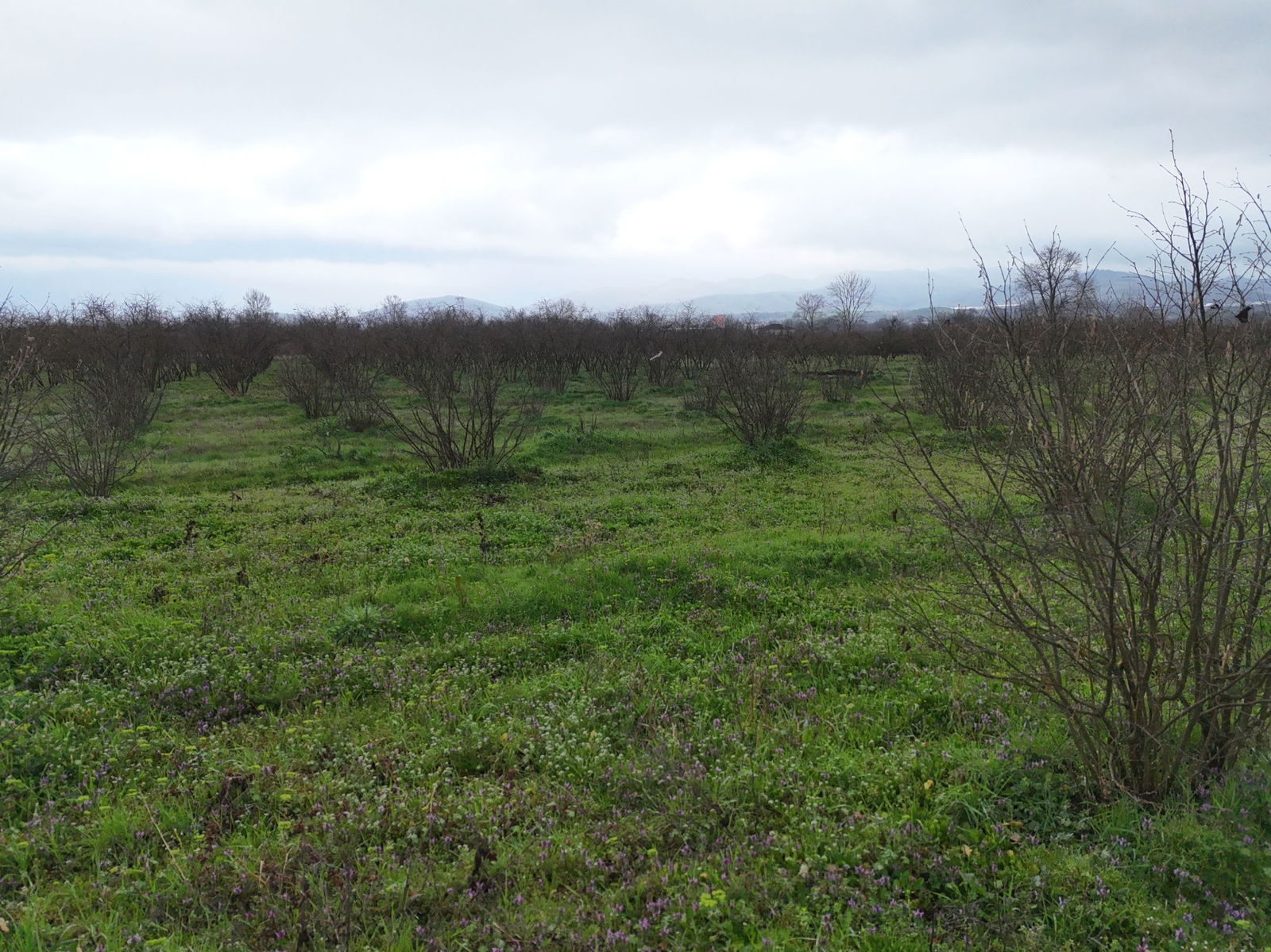 Satılık&nbsp;Arsa&nbsp;2,200,000&nbsp;TL