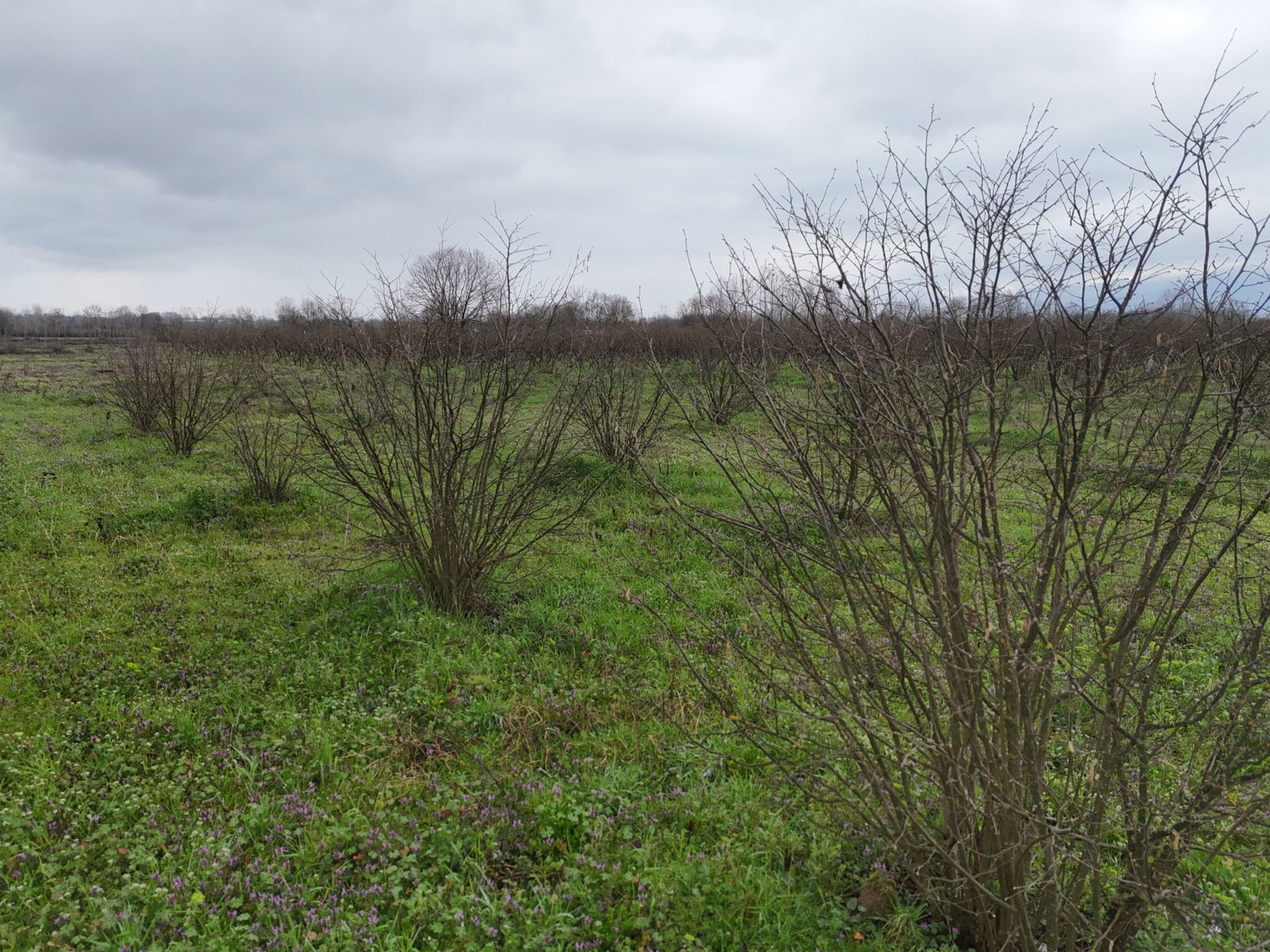 Satılık&nbsp;Arsa&nbsp;2,200,000&nbsp;TL