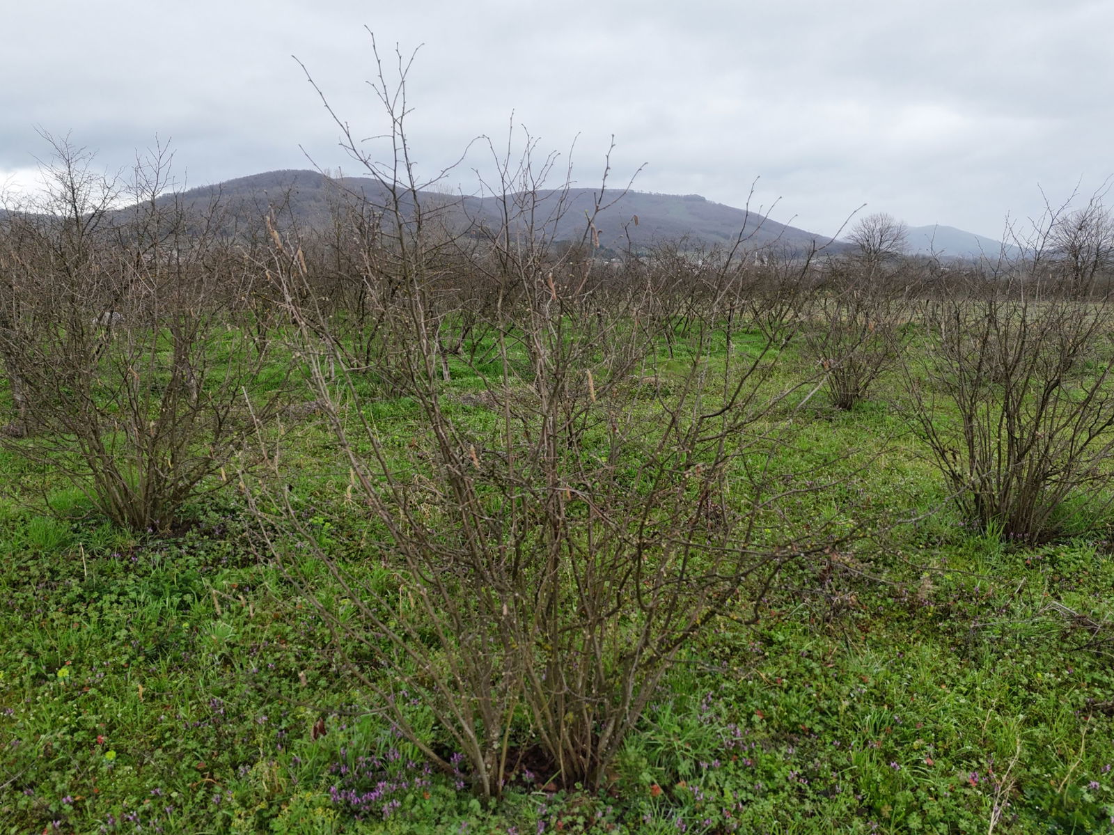 Satılık&nbsp;Arsa&nbsp;2,200,000&nbsp;TL