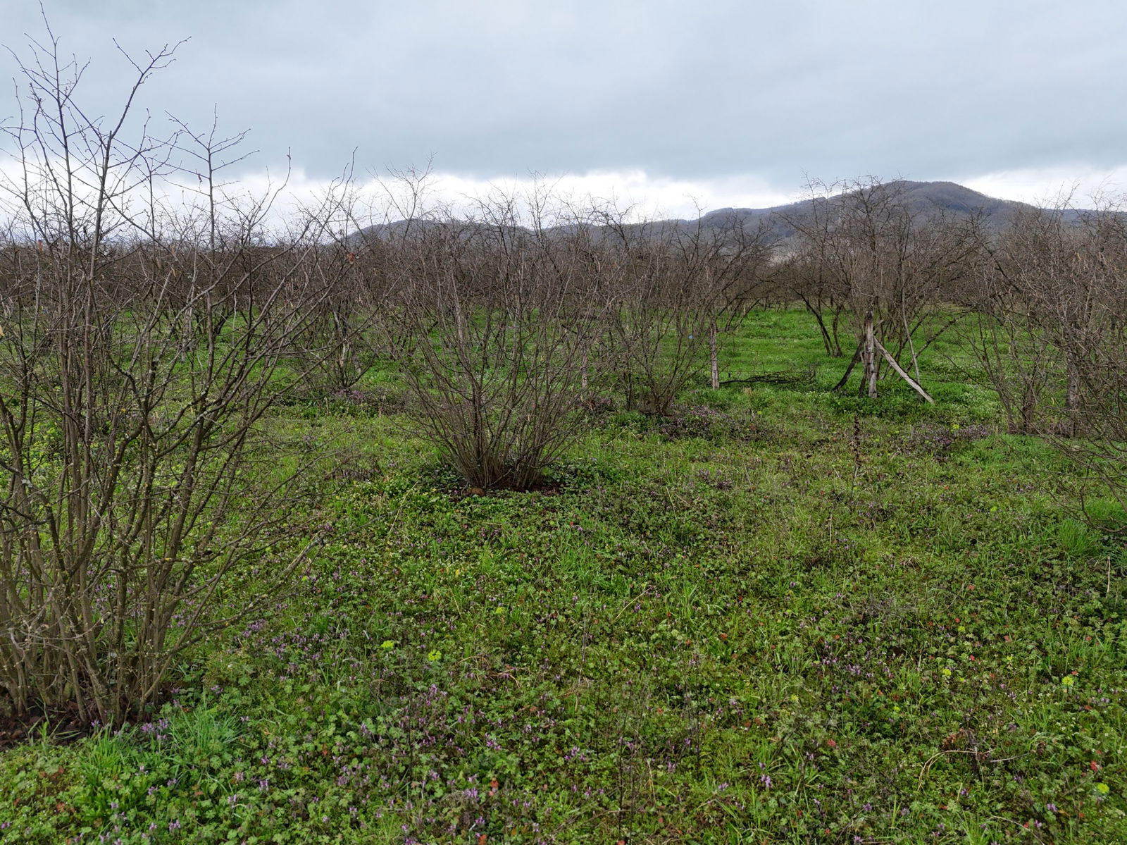 Satılık&nbsp;Arsa&nbsp;2,200,000&nbsp;TL