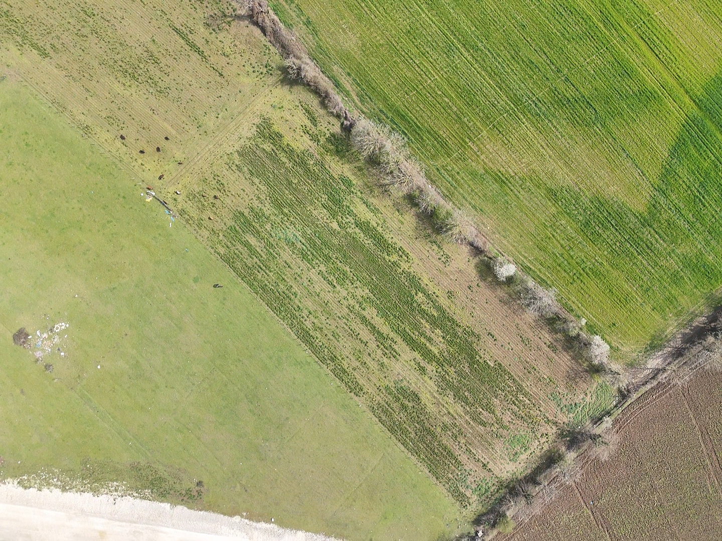 Satılık&nbsp;Arsa&nbsp;38,000,000&nbsp;TL