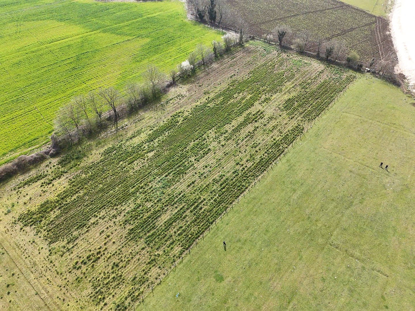 Satılık&nbsp;Arsa&nbsp;38,000,000&nbsp;TL