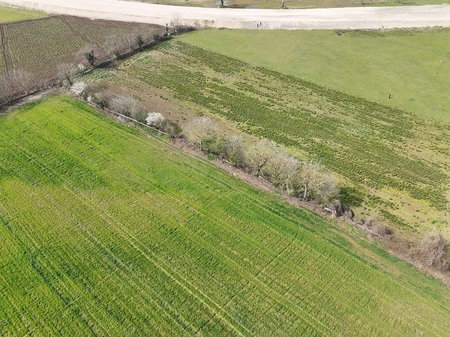 Satılık&nbsp;Arsa&nbsp;38,000,000&nbsp;TL