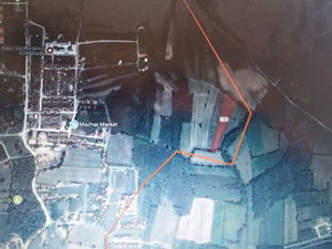 Düzce  Satılık  Tarım Arazisi