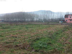 Düzce  Satılık  Arsa