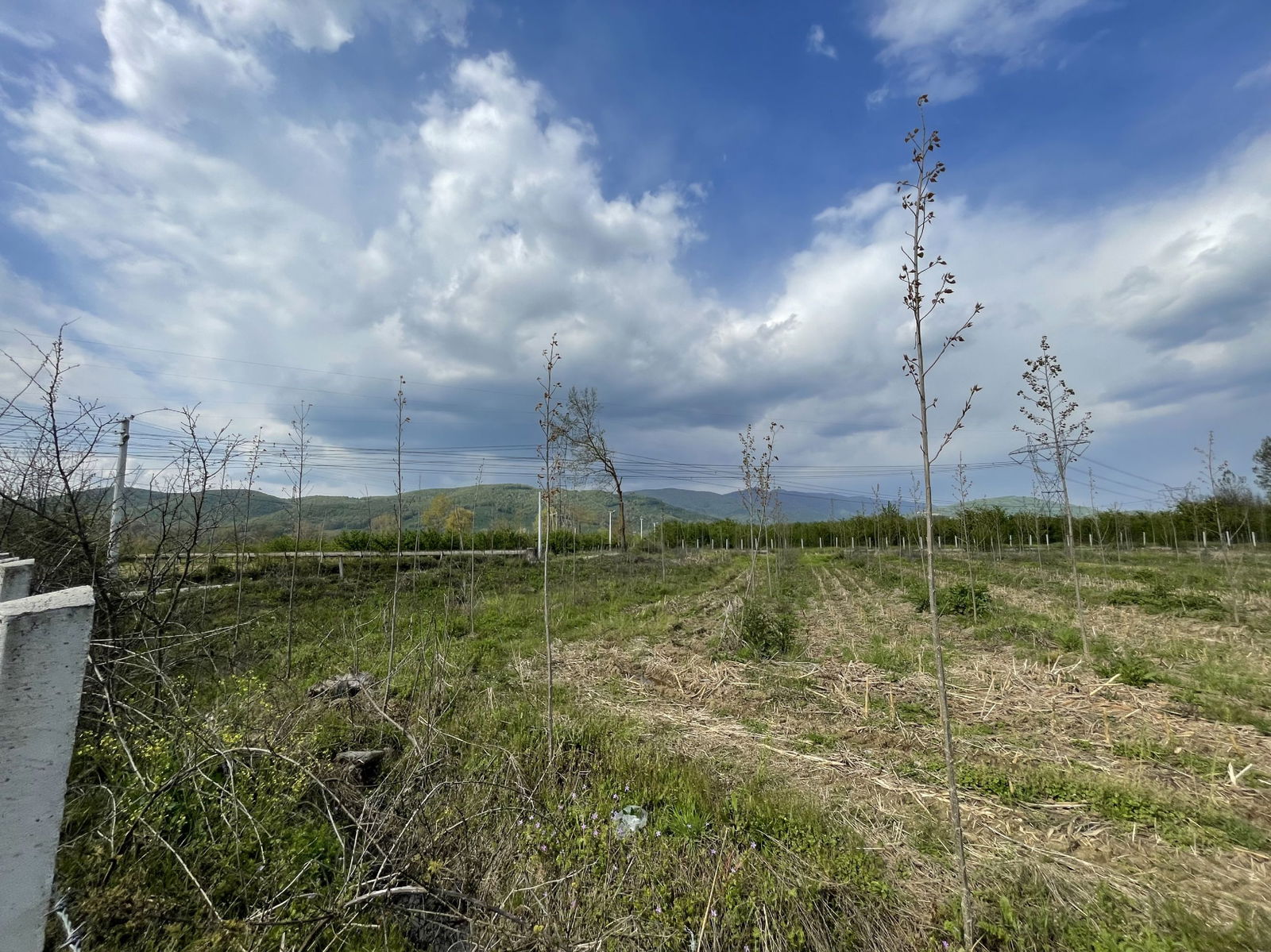 Satılık&nbsp;Arsa&nbsp;63,000,000&nbsp;TL