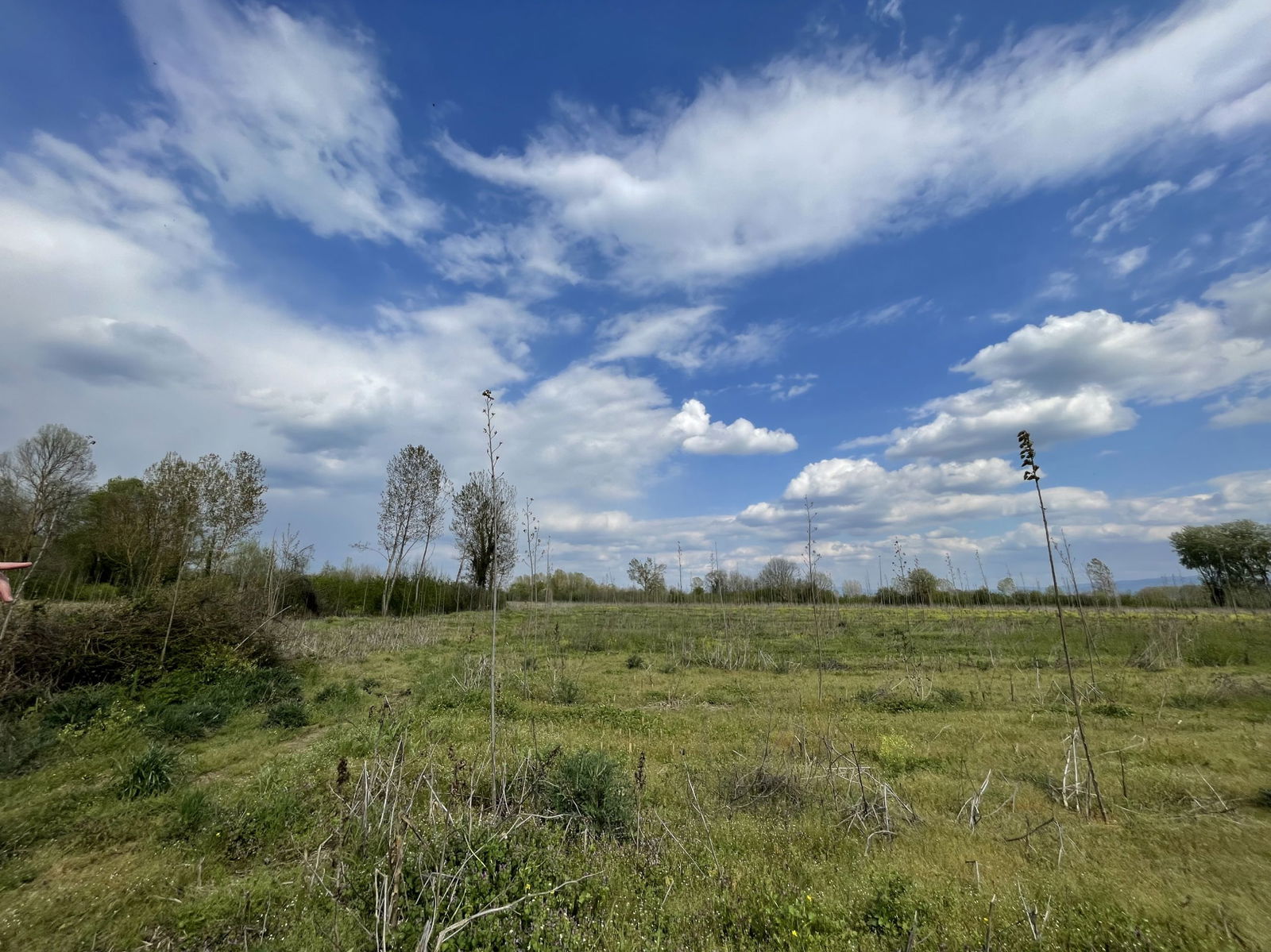 Satılık&nbsp;Arsa&nbsp;63,000,000&nbsp;TL