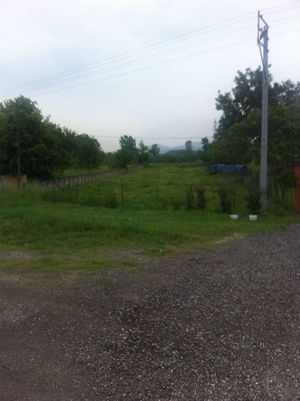 Düzce  Satılık  Arsa