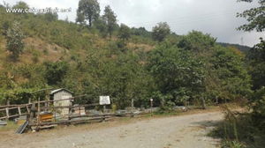 Düzce  Satılık  Fındıklık