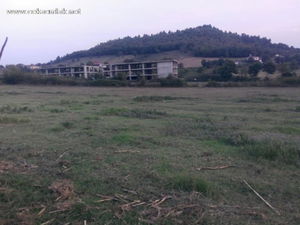 Düzce  Satılık  Arazi