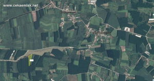 Düzce  Satılık  Tarım Arazisi