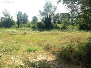 Düzce  Satılık  Arsa