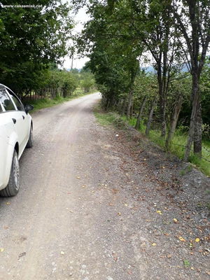 Düzce  Satılık  Arazi