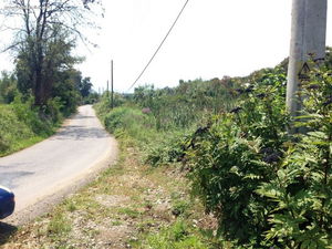 Düzce  Satılık  Arsa