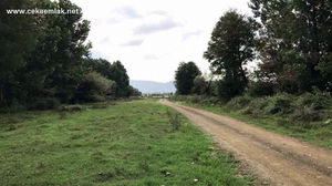 Düzce  Satılık  Arazi