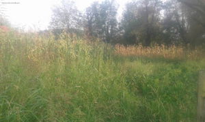 Düzce  Satılık  Arsa