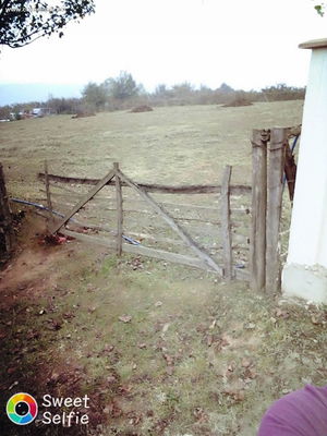 Düzce  Satılık  Arsa