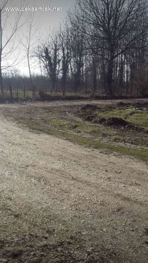 Düzce  Satılık  Arsa