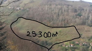 Düzce  Satılık  Fındıklık