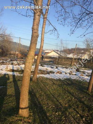 Düzce  Satılık  Arsa