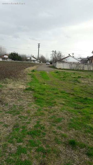 Düzce  Satılık  Arsa