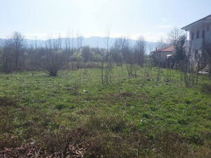 Düzce  Satılık  Arsa