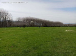 Düzce  Satılık  Arazi