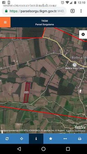 Düzce  Satılık  Fındıklık