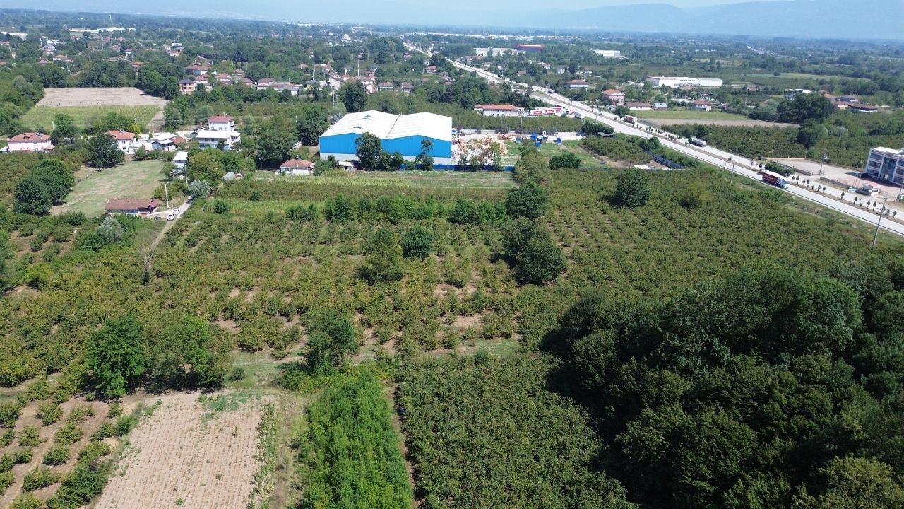 Satılık Sanayi İmarlı 7,450,000 TL