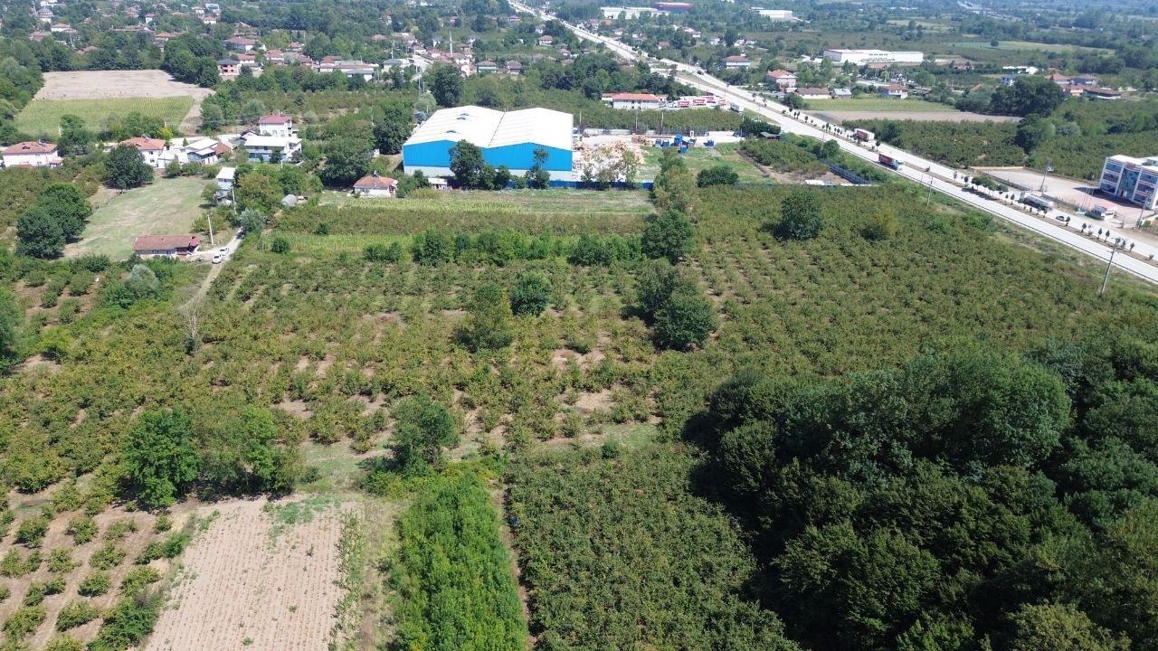 Satılık Sanayi İmarlı 7,450,000 TL