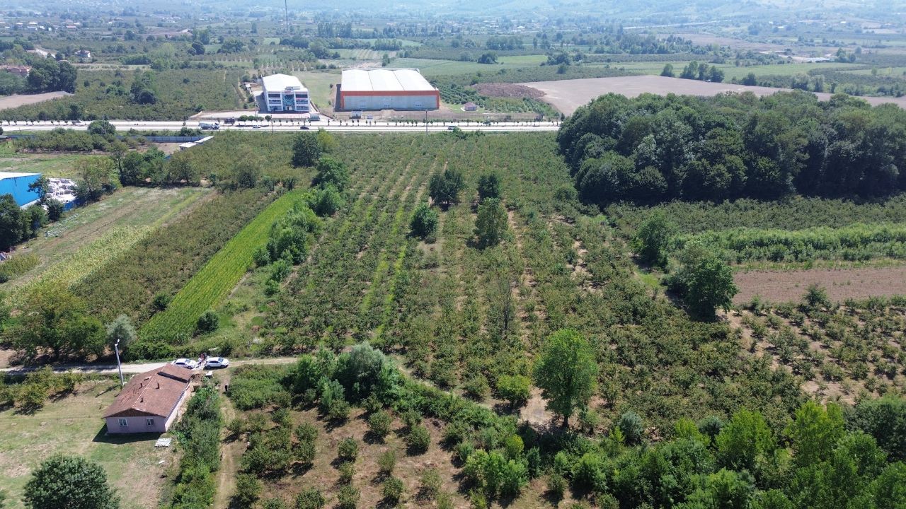 Satılık Sanayi İmarlı 7,450,000 TL