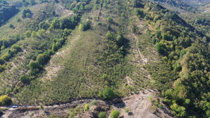 Düzce &nbsp;Satılık &nbsp;Arsa