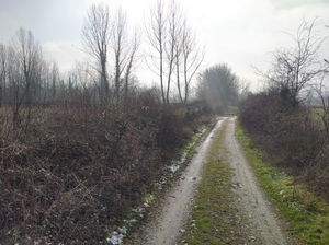 Düzce &nbsp;Satılık &nbsp;Tarım Arazisi