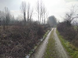 Düzce  Satılık  Tarım Arazisi