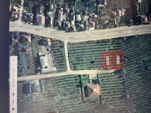 Düzce  Satılık  Arsa