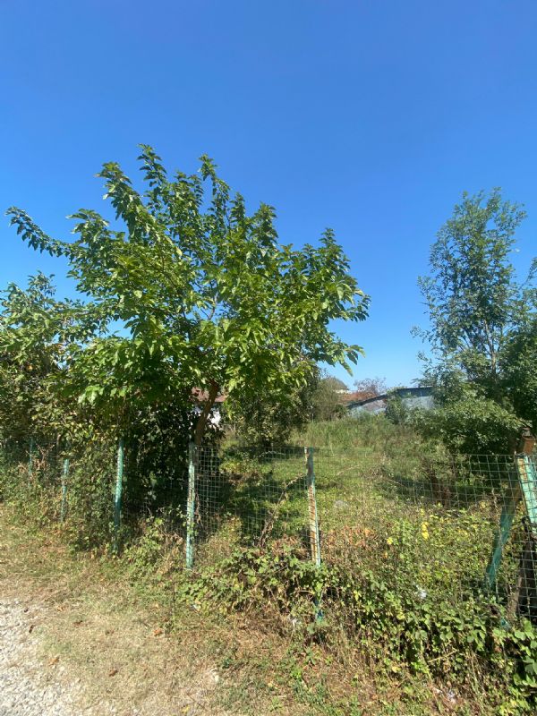 Satılık Arsa 990,000 TL