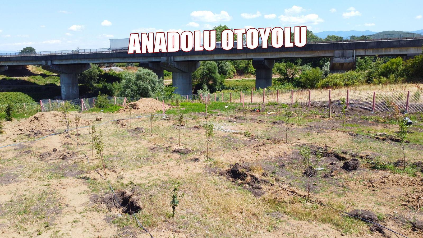 Satılık Arsa 3,100,000 TL