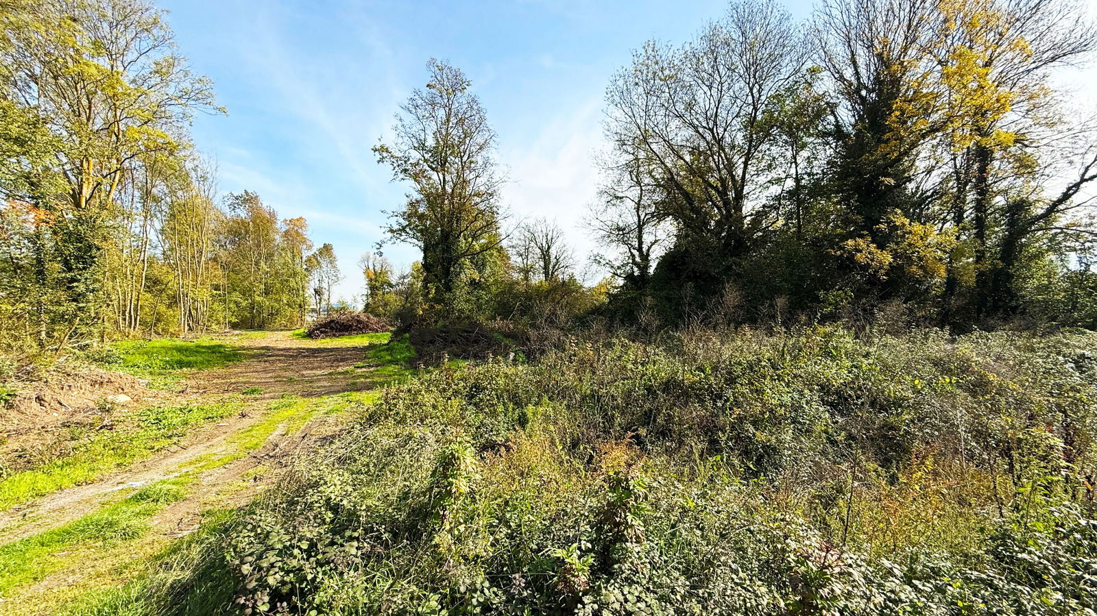 Satılık Sanayi İmarlı 48,000,000 TL