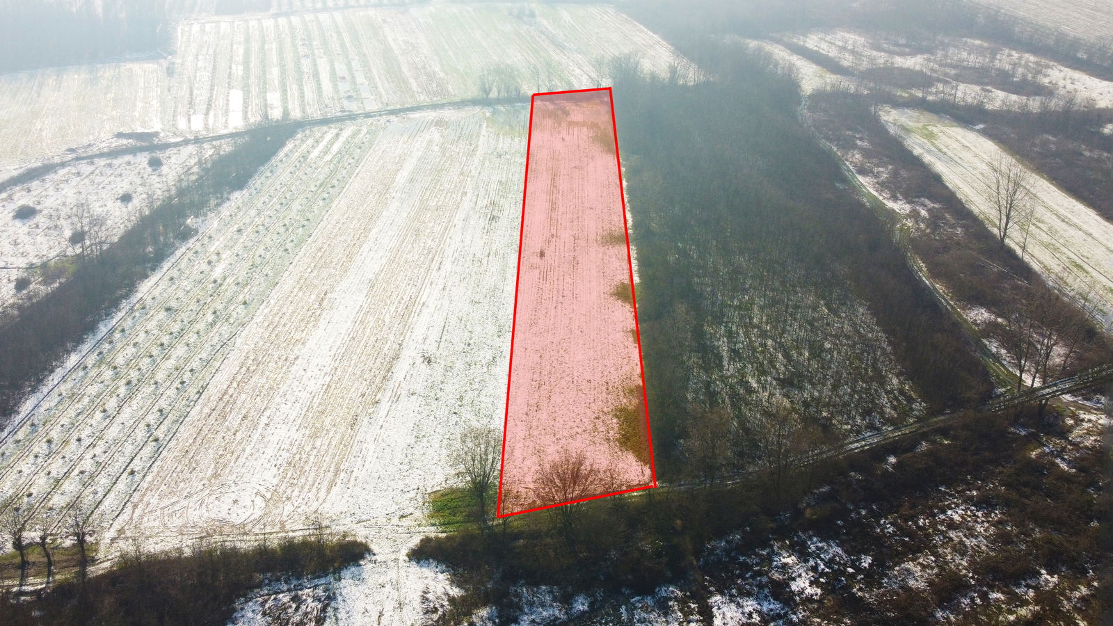 Satılık&nbsp;Tarım Arazisi&nbsp;1,750,000&nbsp;TL