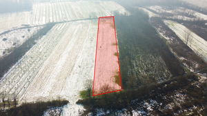 Düzce &nbsp;Satılık &nbsp;Tarım Arazisi