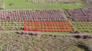 Düzce &nbsp;Satılık &nbsp;Arsa