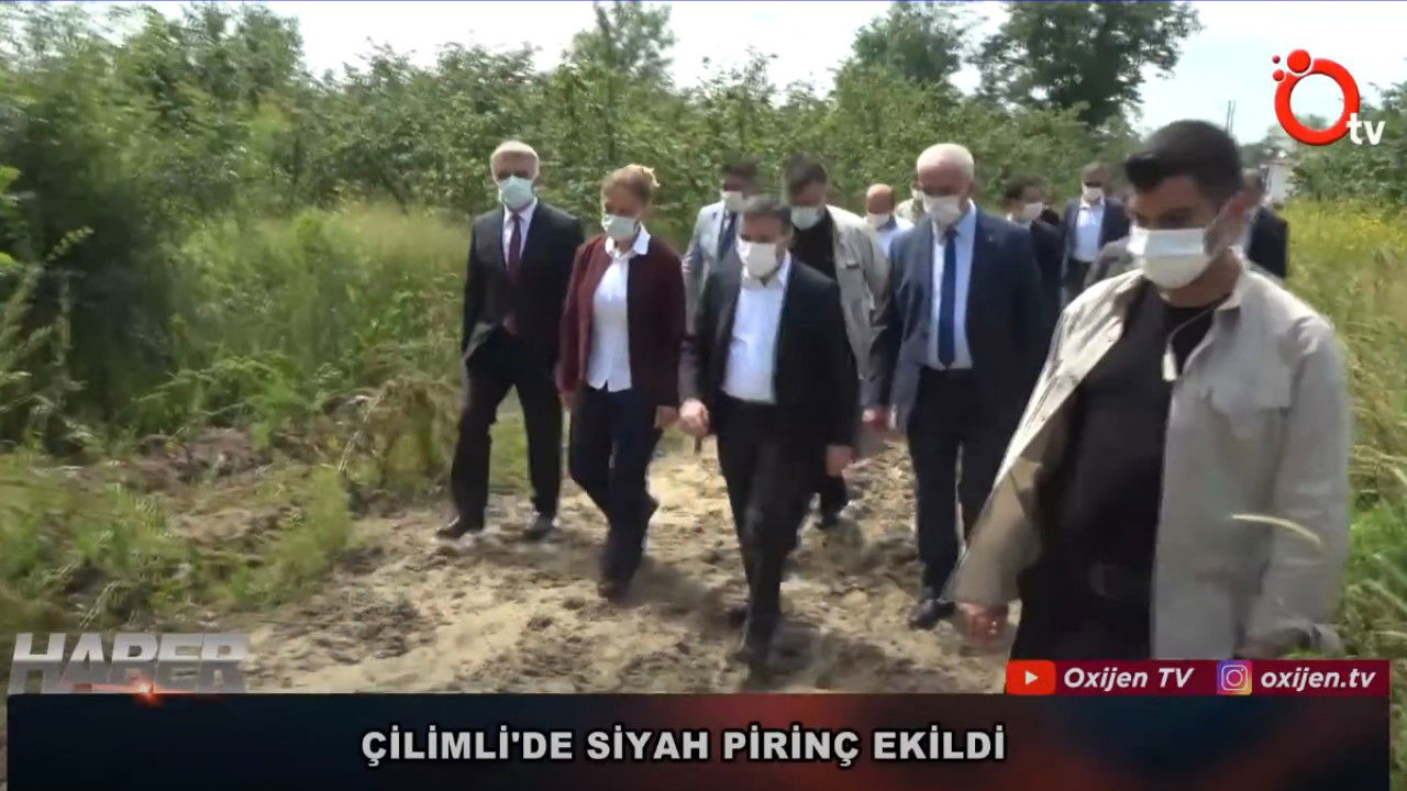 Çilimli'de Siyah Pirinç Ekildi (Oxijen TV)