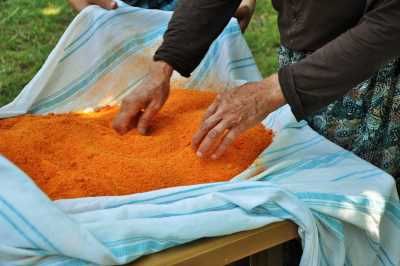 Tarhana Çorbası