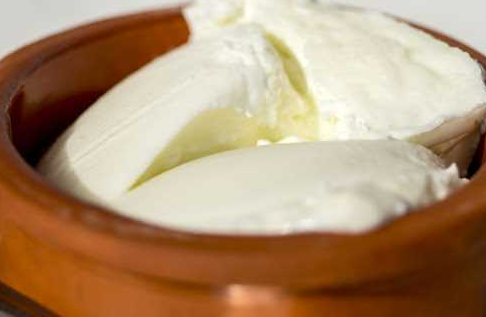 Manda Yoğurdu