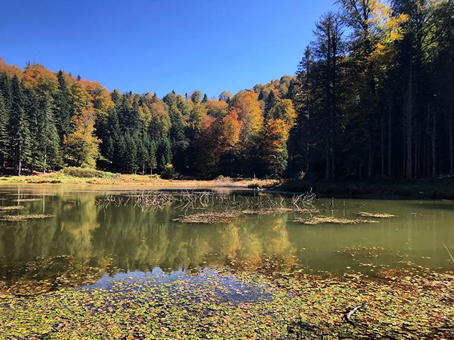Torkul Gölü Kamp Alanı