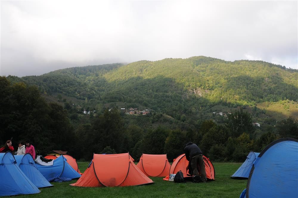 Efteni Gölü Kamp Alanı