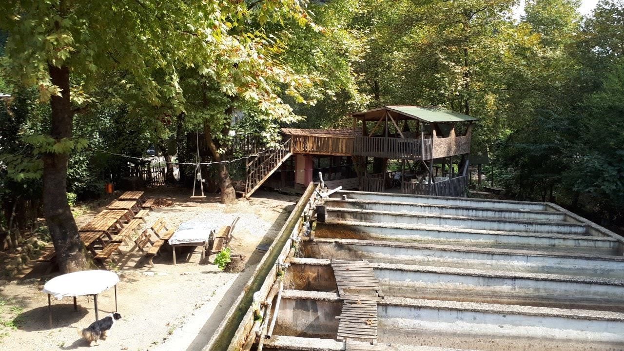 İkizdere Alabalık Çiftliği 