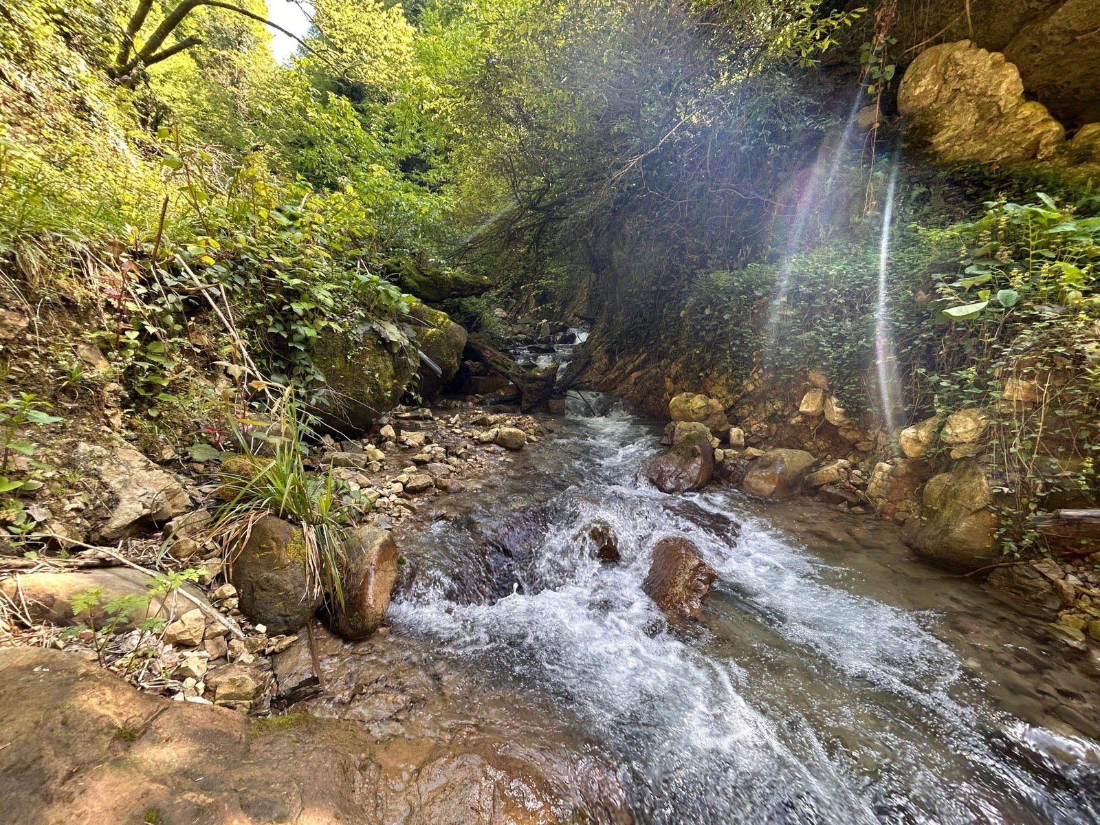 Aktaş Şelalesi Aydın Kamping Kamp Alanı
