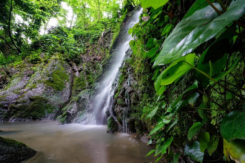 Sarıyayla Şelalesi